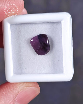 A white 3cm by 3cm Gem pot showcasing apolished example of Sugilite from South Africa