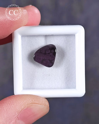 A white 3cm by 3cm Gem pot showcasing apolished example of Sugilite from South Africa