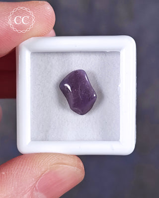 A white 3cm by 3cm Gem pot showcasing apolished example of Sugilite from South Africa