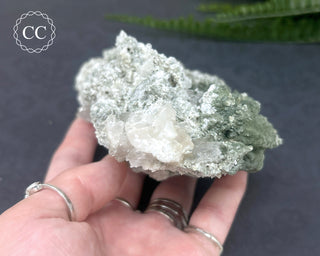 Swiss Chlorite Quartz #1
