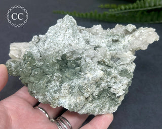 Swiss Chlorite Quartz #1