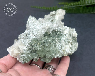 Swiss Chlorite Quartz #1