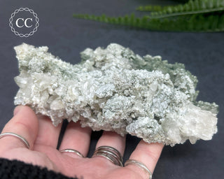 Swiss Chlorite Quartz #1