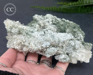 Swiss Chlorite Quartz #1