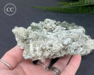 Swiss Chlorite Quartz #1