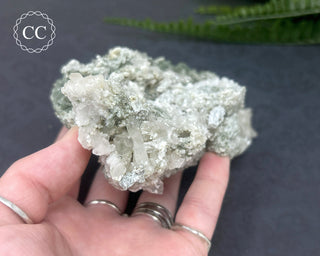 Swiss Chlorite Quartz #1