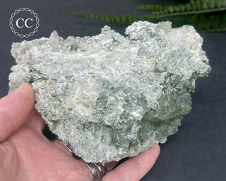 Swiss Chlorite Quartz #1