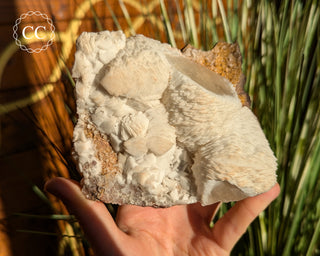 Calcite Specimen - Taffs Well Quarry #1