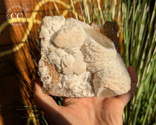 Calcite Specimen - Taffs Well Quarry #1