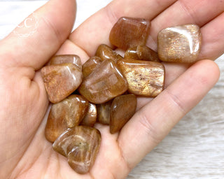 Meteor Sunstone | Asgardianite Tumbled Crystals in hand