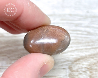 Tanzania Sunstone & Moonstone Pebble #2