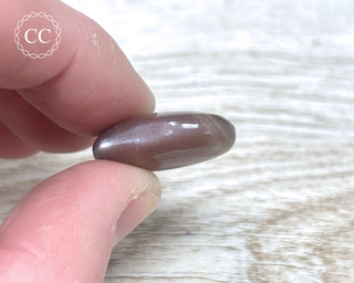 Tanzania Sunstone & Moonstone Pebble #2