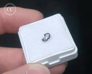 Tanzanite Bi - Colour Faceted Gem #2
