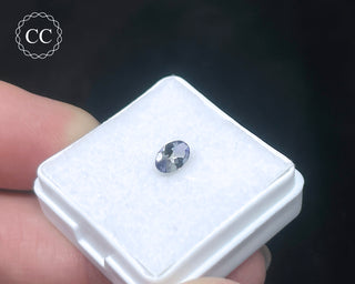 Tanzanite Bi - Colour Faceted Gem #2