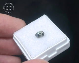 Tanzanite Bi - Colour Faceted Gem #3