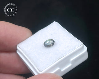 Tanzanite Bi - Colour Faceted Gem #3