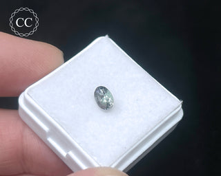 Tanzanite Bi - Colour Faceted Gem #3