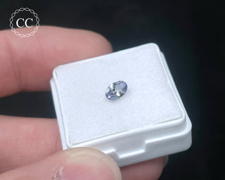 Tanzanite Bi - Colour Faceted Gem #2