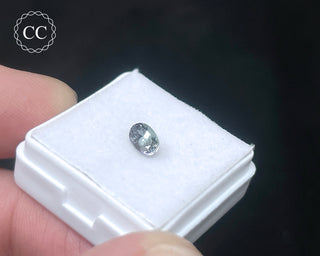 Tanzanite Bi - Colour Faceted Gem #3