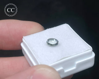 Tanzanite Bi - Colour Faceted Gem #3