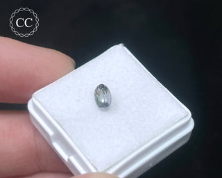 Tanzanite Bi - Colour Faceted Gem #3
