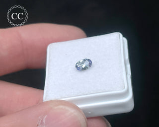 Tanzanite Bi - Colour Faceted Gem #4