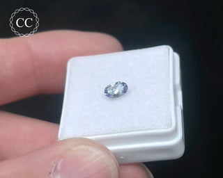 Tanzanite Bi - Colour Faceted Gem #4