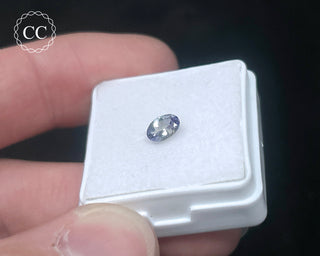 Tanzanite Bi - Colour Faceted Gem #2