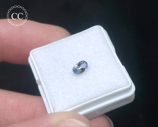 Tanzanite Bi - Colour Faceted Gem #4