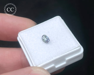 Tanzanite Bi - Colour Faceted Gem #4