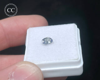 Tanzanite Bi - Colour Faceted Gem #4