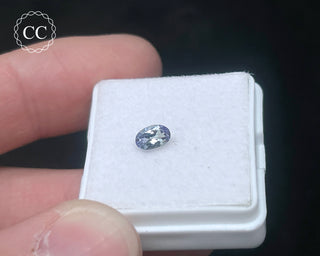 Tanzanite Bi - Colour Faceted Gem #4