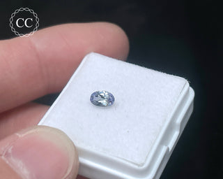 Tanzanite Bi - Colour Faceted Gem #4