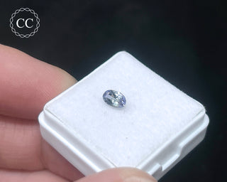 Tanzanite Bi - Colour Faceted Gem #4