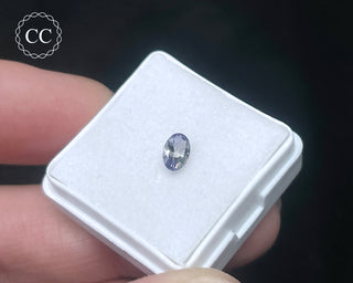 Tanzanite Bi - Colour Faceted Gem #2