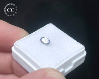 Tanzanite Bi - Colour Faceted Gem #4