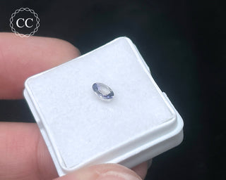 Tanzanite Bi - Colour Faceted Gem #2