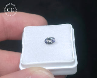 Tanzanite Bi - Colour Faceted Gem #2