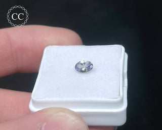 Tanzanite Bi - Colour Faceted Gem #2