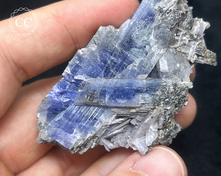 Tanzanite Crystal Cluster #1