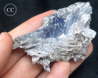 Tanzanite Crystal Cluster #1