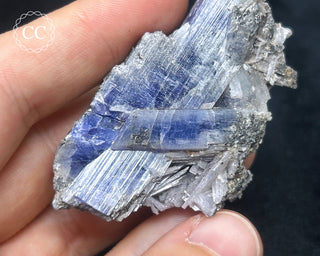 Tanzanite Crystal Cluster #1