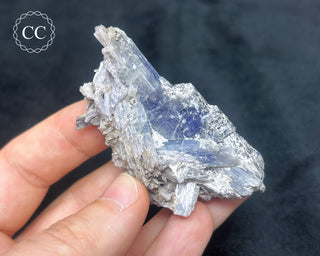 Tanzanite Crystal Cluster #1