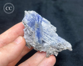 Tanzanite Crystal Cluster #1