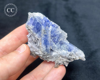 Tanzanite Crystal Cluster #1