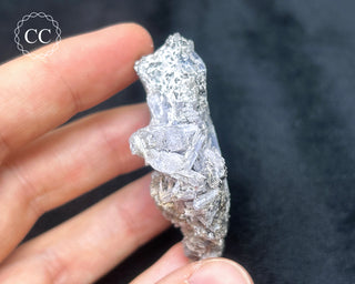 Tanzanite Crystal Cluster #1