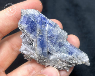 Tanzanite Crystal Cluster #1