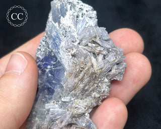 Tanzanite Crystal Cluster #1