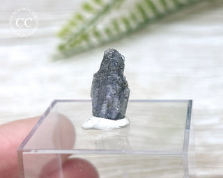 Tanzanite Crystal #1