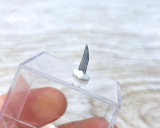 Tanzanite Crystal #3